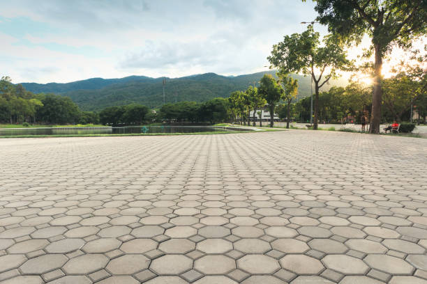 Driveway Pavers for Homes in Las Quintas Fronterizas, TX