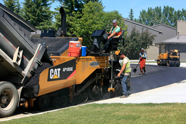Best Professional Driveway Pavers  in Las Quintas Fronterizas, TX